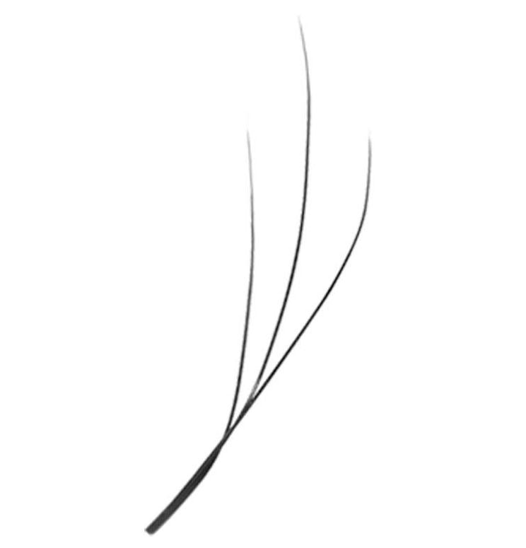 Angelic Collection Wispy Classic Mini Mix Tray - 6ROWS