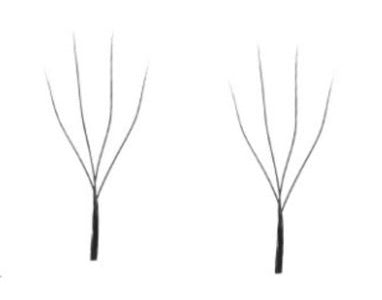 Unpredictable Collection Mini Mix Tray - 6ROWS