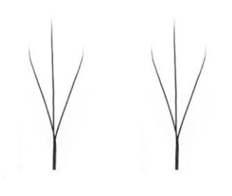 Angelic Collection Wispy Classic Mix Tray - 28ROWS