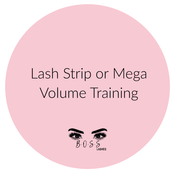 Lash Strip Set or Mega Volume Training