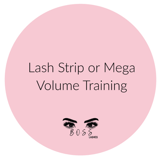 Lash Strip Set or Mega Volume Training