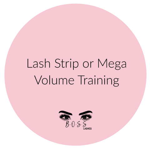 Lash Strip Set or Mega Volume Training