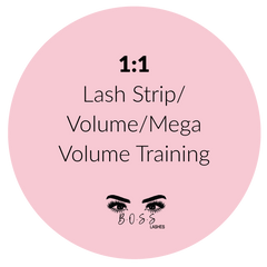 1:1 Lash Strip/Volume/Mega Volume Training